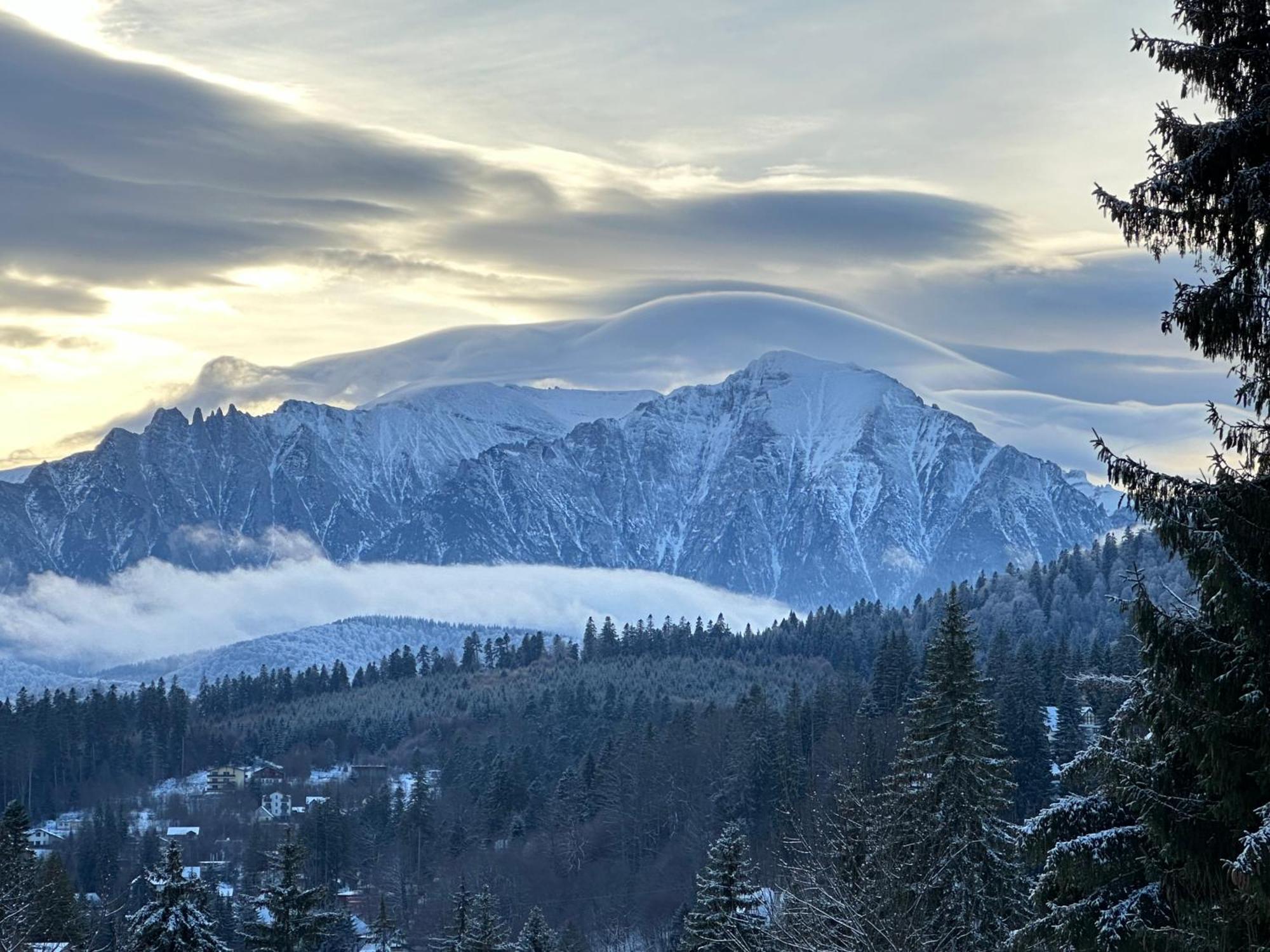 Pine Peak Apartments Предял Экстерьер фото