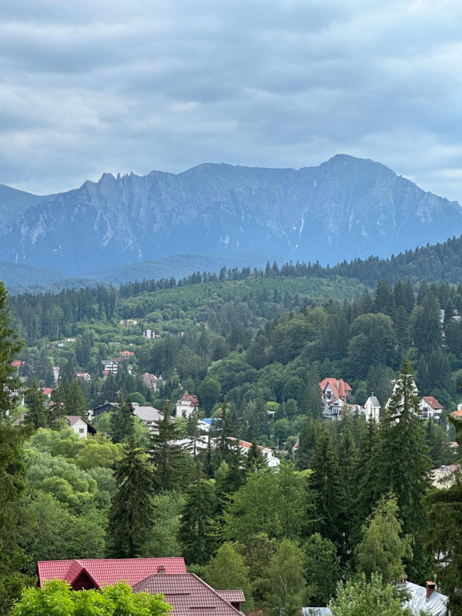 Pine Peak Apartments Предял Экстерьер фото