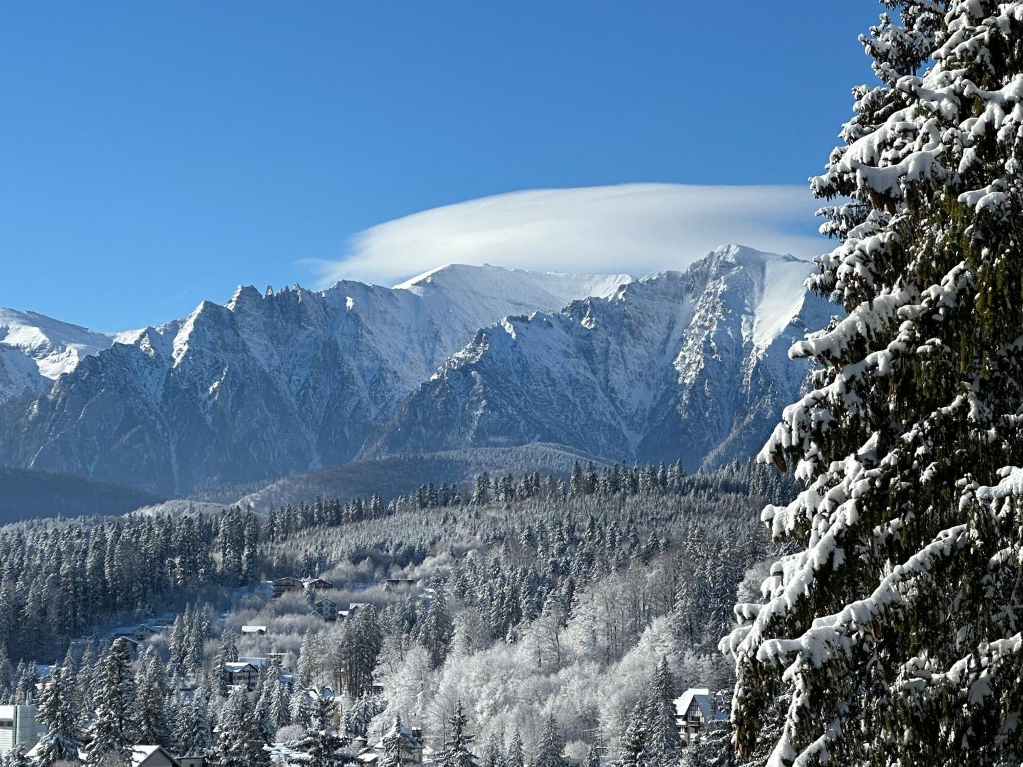 Pine Peak Apartments Предял Экстерьер фото